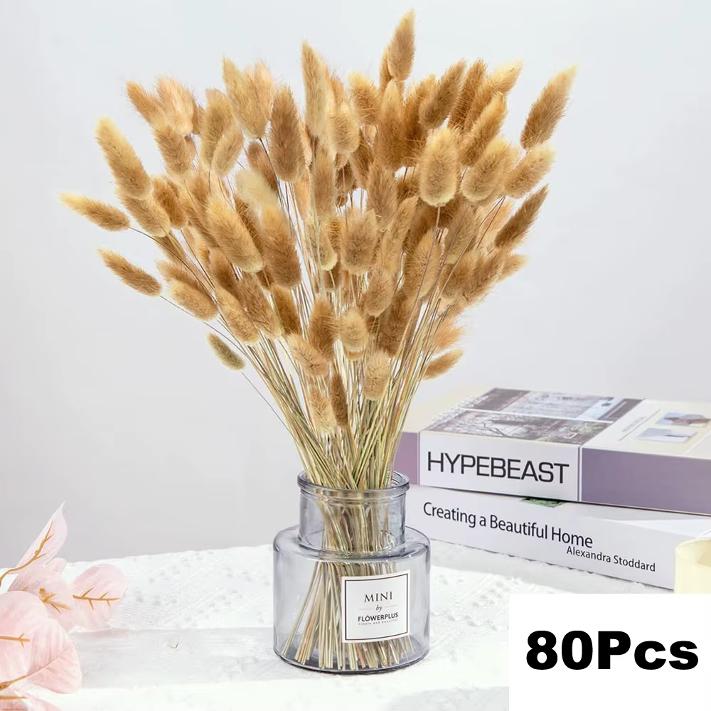 100 pièces/lot crème Pampas herbe moelleux chambre Phragmites décoration naturel lapin queue herbe f