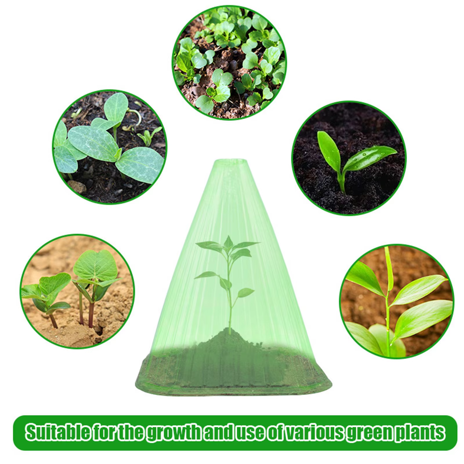 Cloche de plantes vertes, 30 pièces, couvertures avec évent, dôme d'humidité réutilisable pour intér