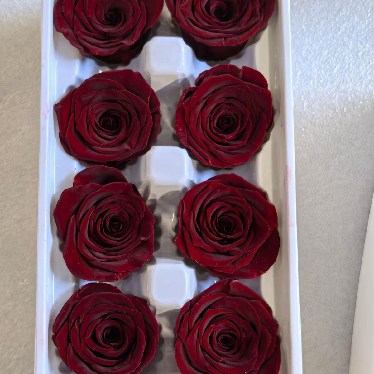 Rose conservée de classe A de haute qualité, boîte entière de 4 à 5 cm de 8/10/12 fleurs, matériel d