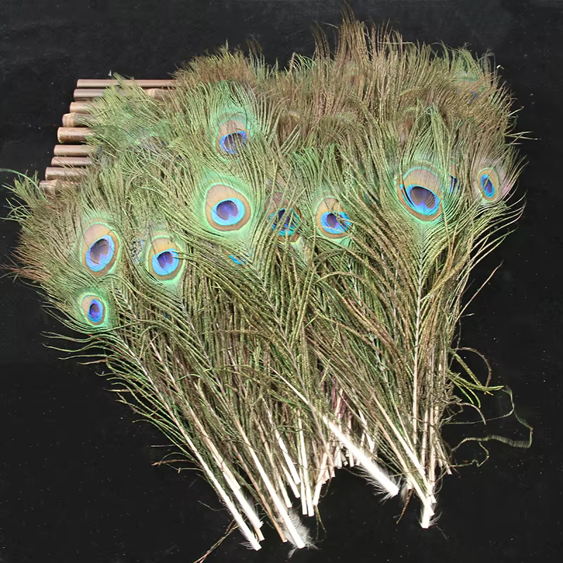 Plumes de paon naturelles 25-30cm, plumes d'oeil en vrac pour bricolage, Vase artisanal, décorations