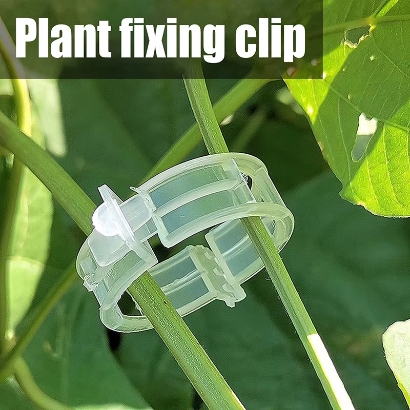 100 pinces de fixation en plastique sécurisées pour plantes, pinces de support améliorées pour plant