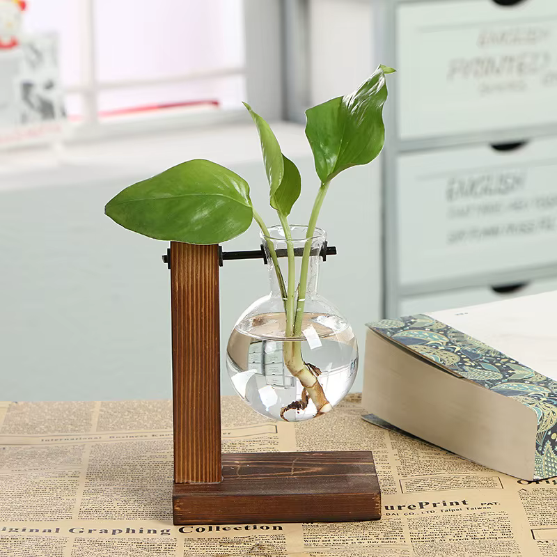 Vases de plantes hydroponiques de terrarium, pot de fleur vintage, vase transparent, cadre en bois, 