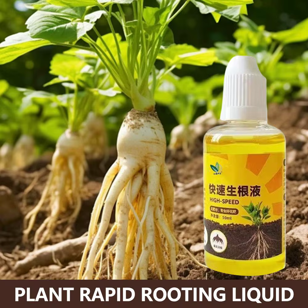 Stimulateur de racines liquide rapide 50 ml, agent nutritif pour l'enracinement, engrais pour la cro