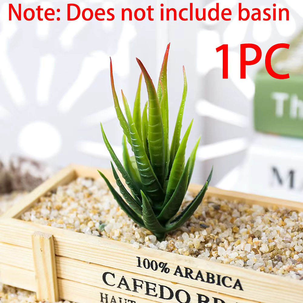 1 pièces simulé succulente faux zèbre Aloe Vera plante mur créatif bricolage accessoires fournitures