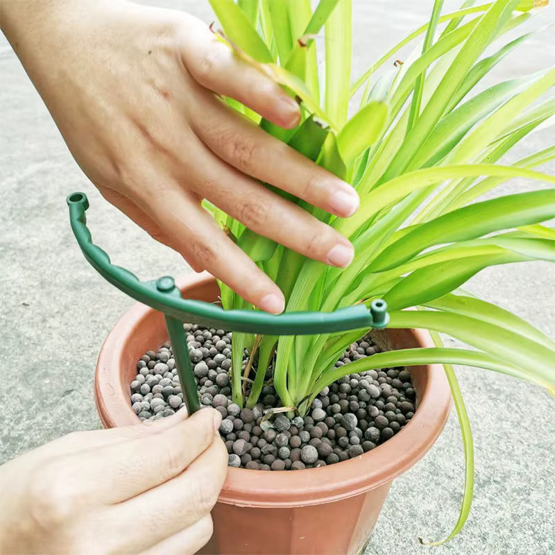 Cage de Support pour plantes de jardin, Support de fleurs en plastique demi-cercle, tige de fixation