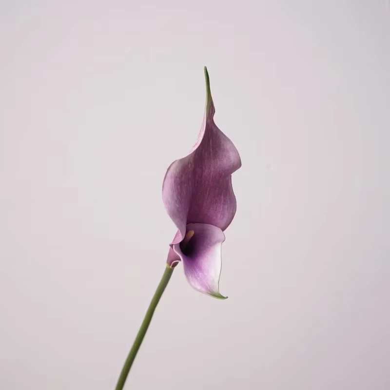 Fleurs artificielles de lys calla en PU, 5 pièces, décoration de mariage, bouquet de mariée, design 