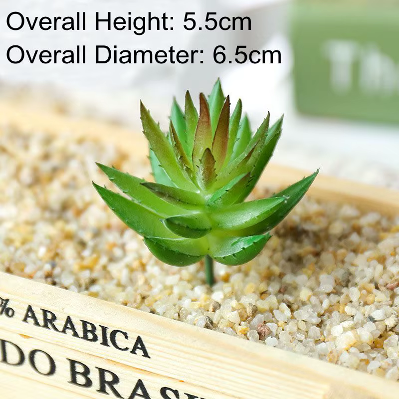 Mini plantes succulentes artificielles | Hauteur = 5.5cm diamètre = 6.5cm, plantes succulentes artif
