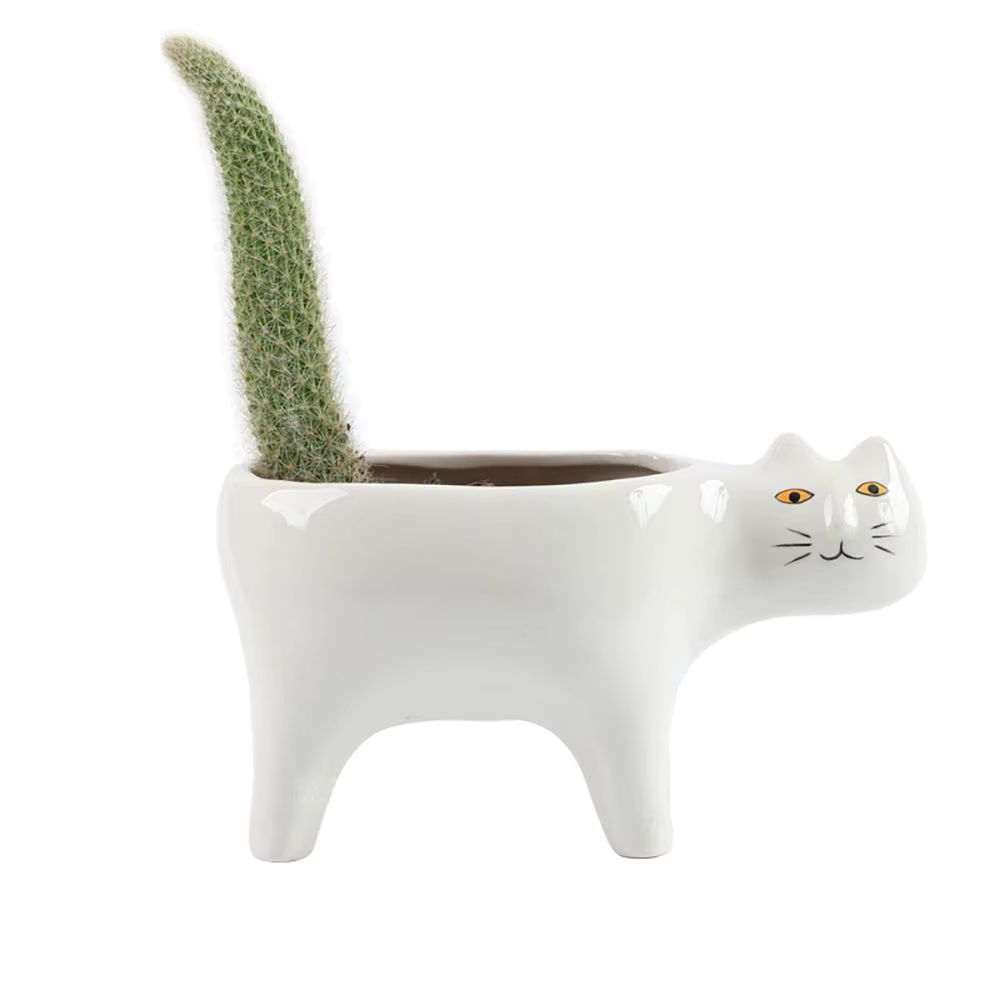 Pot de fleurs en céramique pour plantes succulentes, décoration de balcon, salon, jardin, maison, po