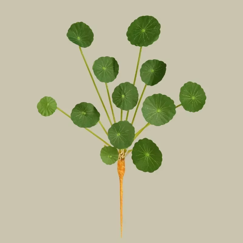 Fleurs artificielles injanni, petites feuilles, plantes vertes, décoration de jardin, simulation arg