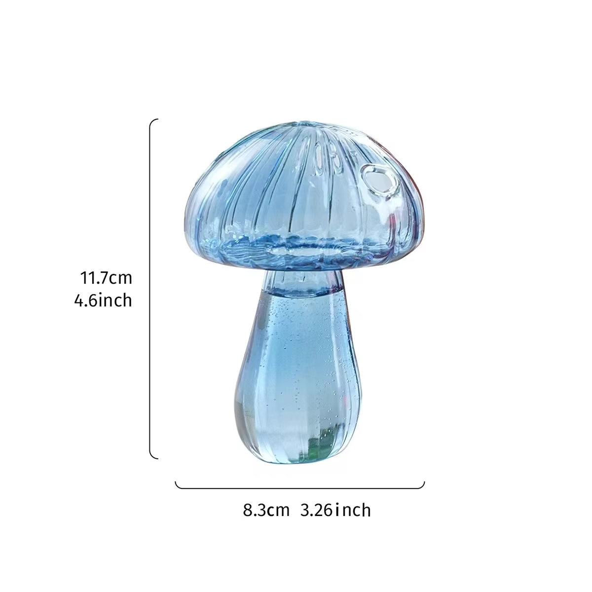 Ensemble de vase en verre à champignons – Mini Terrarium de propagation pour plantes et fleurs |   D