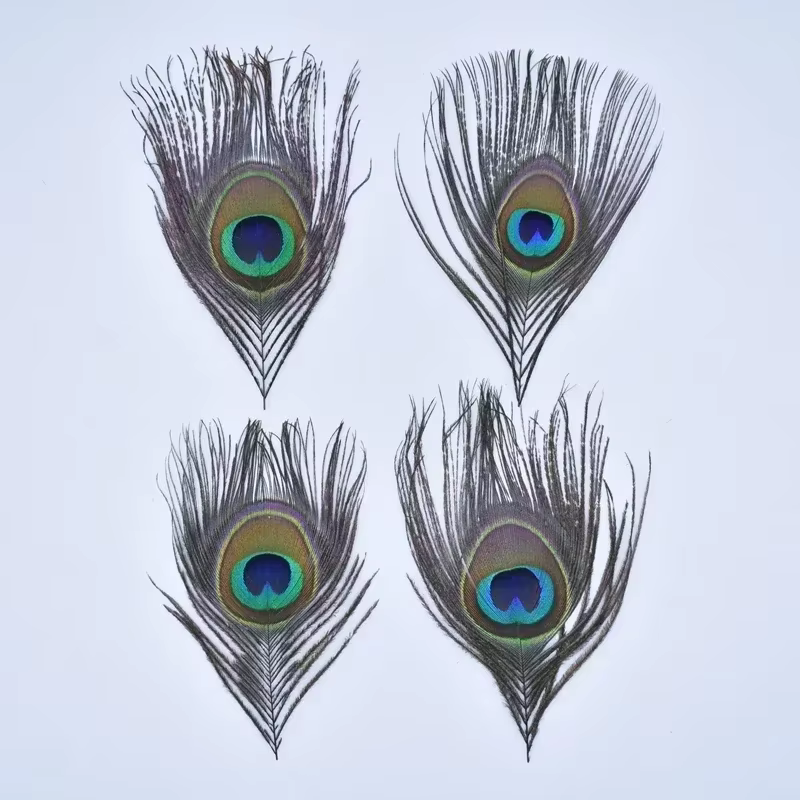 Plumes de paon naturelles pour la création de bijoux, attrape-rêves, décoration artisanale, fournitu