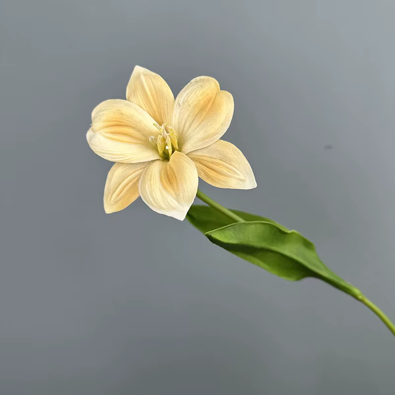12 pièces de fleurs artificielles en PU avec feuilles, tulipes crème, toucher réaliste, fausses fleu