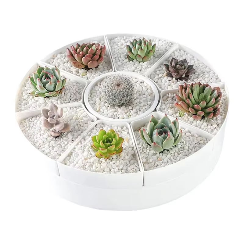 Pots de fleurs rotatifs multiples de forme ovale - Plante en pot pour plantes succulentes blanches -
