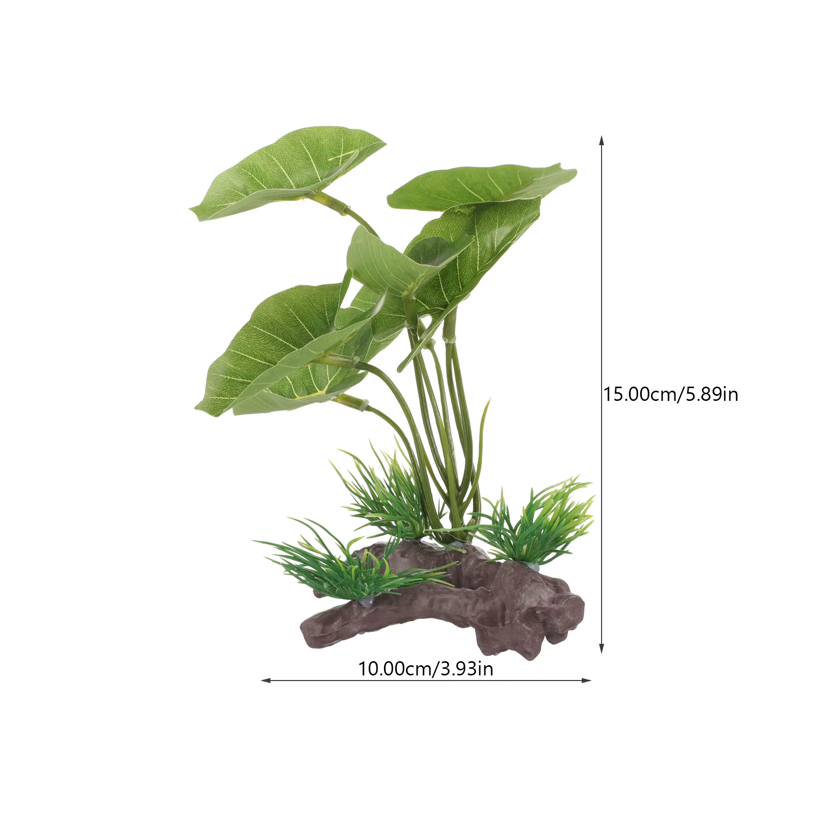 Plante pour Aquarium durable, largement utilisée, décorative, herbe d'aquarium d'eau douce, plantes 