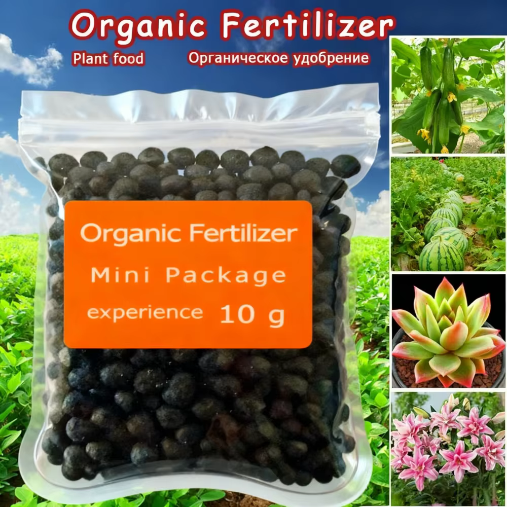Engrais organique en mini-paquet de 10 g, vert, usage général, sûr et sans pollution, nourriture pou