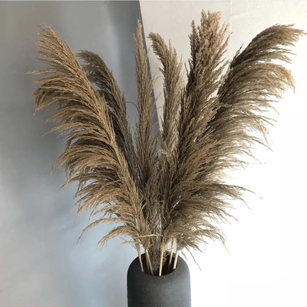 Grande herbe de Pampas naturelle de 80cm, colorée, jaune, rouge, bleu, vert, violet, Bouquet de fleu