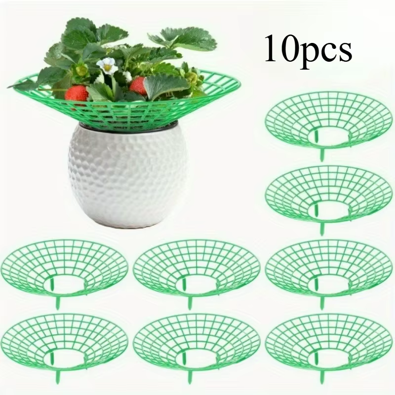 Supports pour plantes à fraises avec trois pieds robustes, 5/10 pièces, fournissent une Protection c