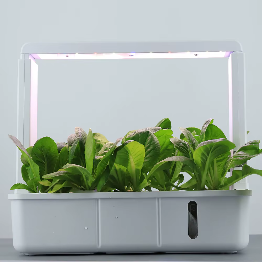 Système de culture hydroponique avec 15 trous de plantation, lumière Led à spectre complet, Non toxi