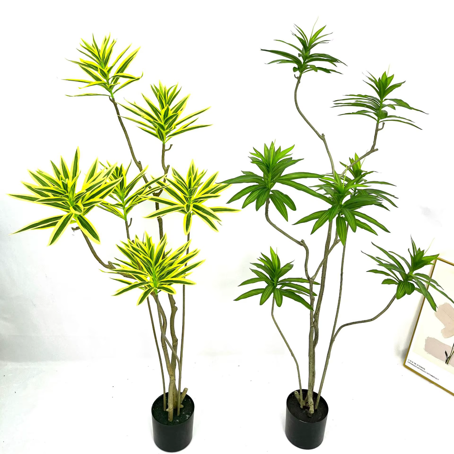 Usine de décoration intérieure et extérieure, plantes artificielles de jardin naturel du mois, arbre