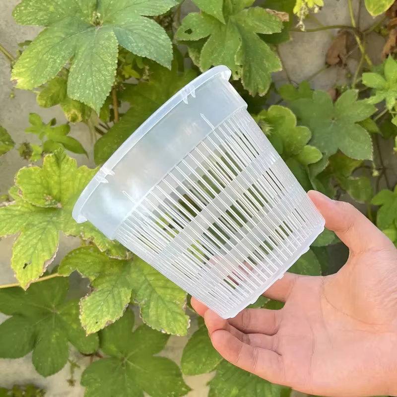 Pot de fleurs en plastique transparent pour fleurs d'orchidées, pot en maille, contrôle des racines,