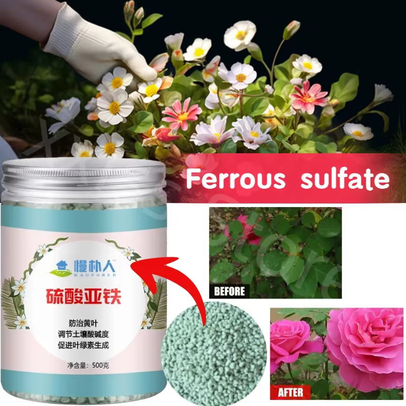 Engrais de fleurs de sulfate ferreux, 500g, amélioration du sol, acide, Rose, camélia, Laurel vert, 