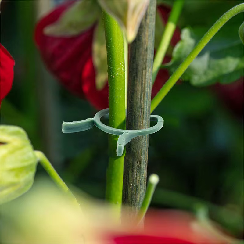 100/200 pièces Clips pour plantes, Clips de 3 tailles pour fixer les plantes, Clips de jardin, Clips