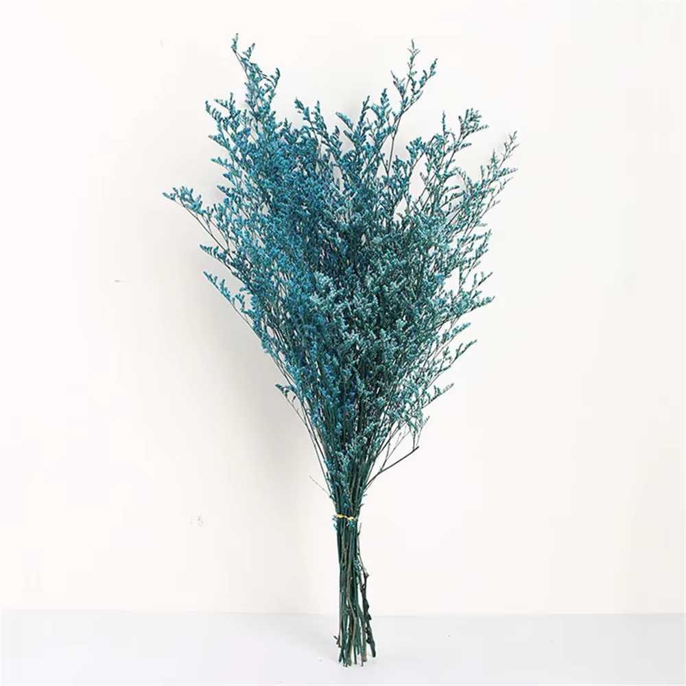 Bouquet de fleurs d'amant séchées naturelles, véritable aide au phtaline pour toujours, branche d'an