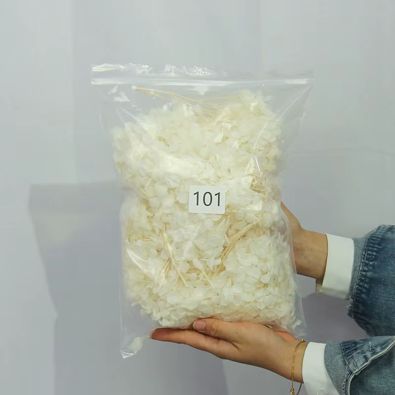 Une qualité Anna rentable conservé 100% naturel véritable hortensia en gros éternelle immortelle fle
