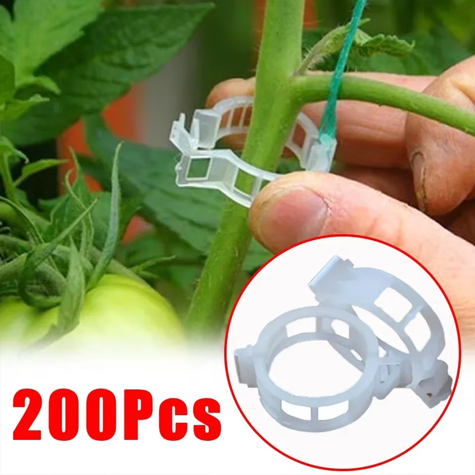 Clips de Support de plantes en plastique, outil de fixation de greffage pour légumes, tomates, fourn