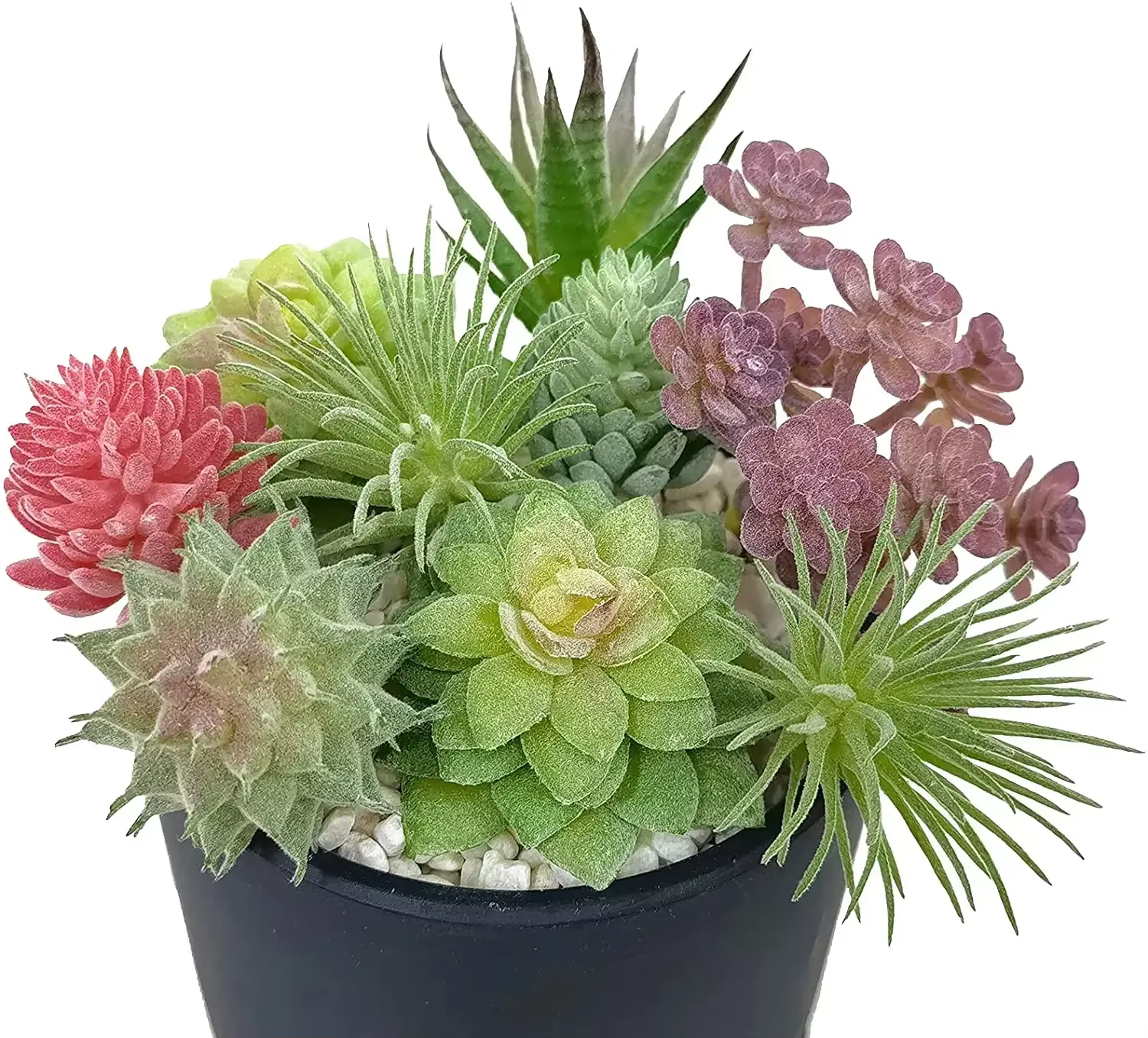 Petites plantes succulentes artificielles, décoration d'intérieur, type différent, 9 pièces