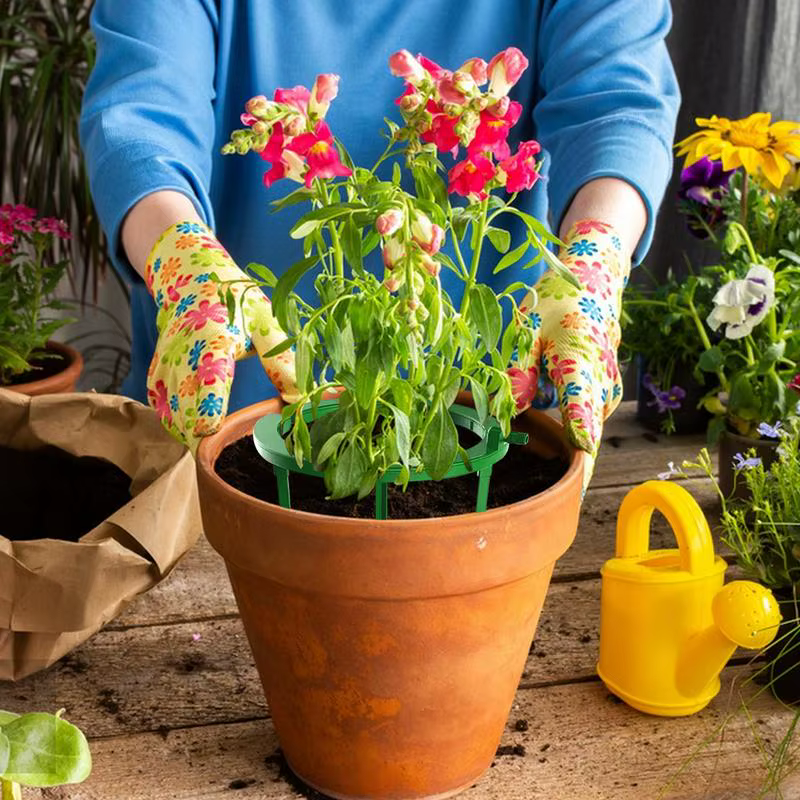 Anneaux d'eau pour plantes, boucle d'égouttement avec Support, Kits d'irrigation goutte-à-goutte aut