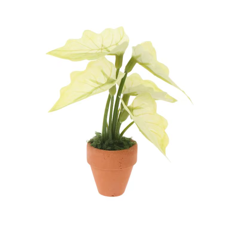 Miniature Plante en Pot Taro Vert Arrière-Plan Tortue, Ornement pour Maison de Poupées, Modèle de Pl