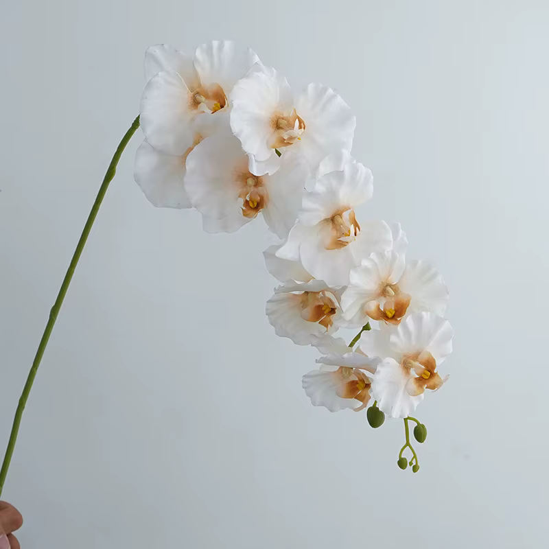 Branches de fleurs de Phalaenopsis artificielles à 9 têtes, tiges d'orchidées en Faux toucher réel p
