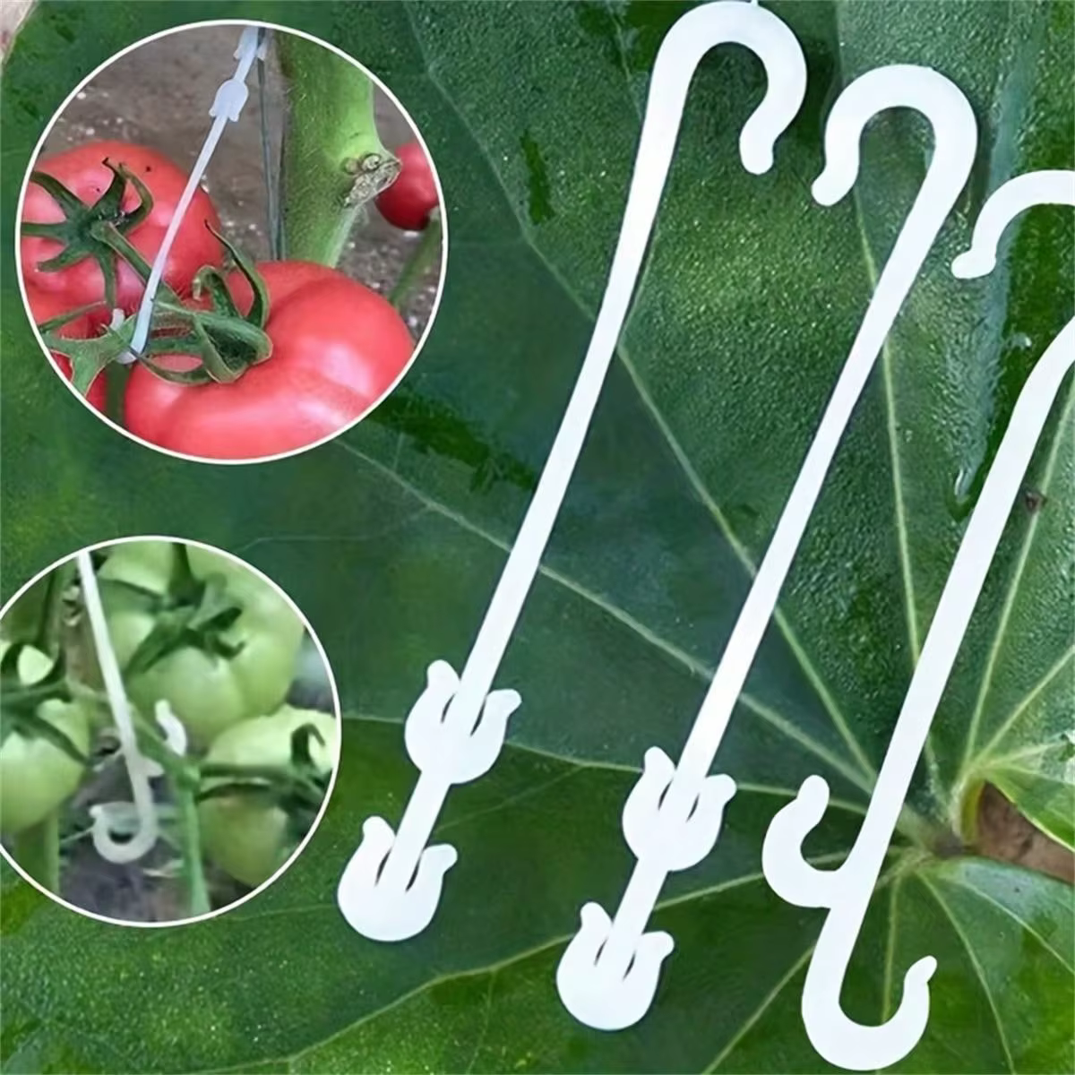 Lot de 20 crochets pour plantes et fruits, pour soutenir les tomates et les aubergines, empêchent la