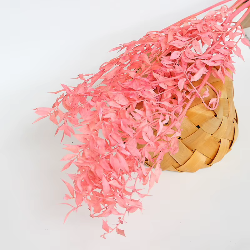 Fleurs séchées naturelles pour la décoration de la maison et du jardin, vrai cuir chevelu pointu, pl