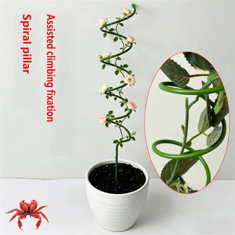 Support réutilisable pour plantes grimpantes, treillis pour plantes d'intérieur d'extérieur, croissa