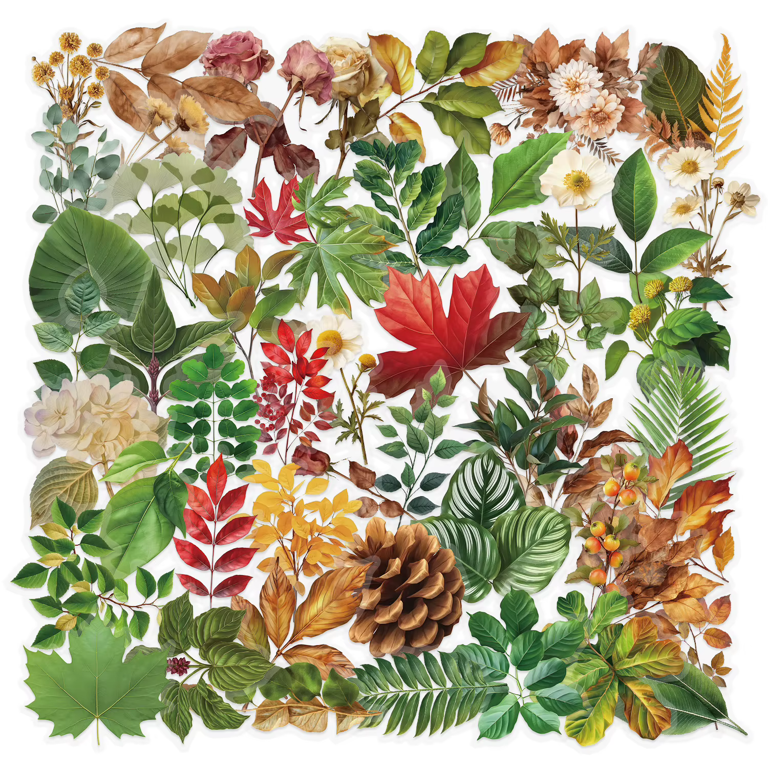 Autocollants Graffiti feuilles de plantes, 50/100 pièces, simplicité esthétique, réalisme, bagages,