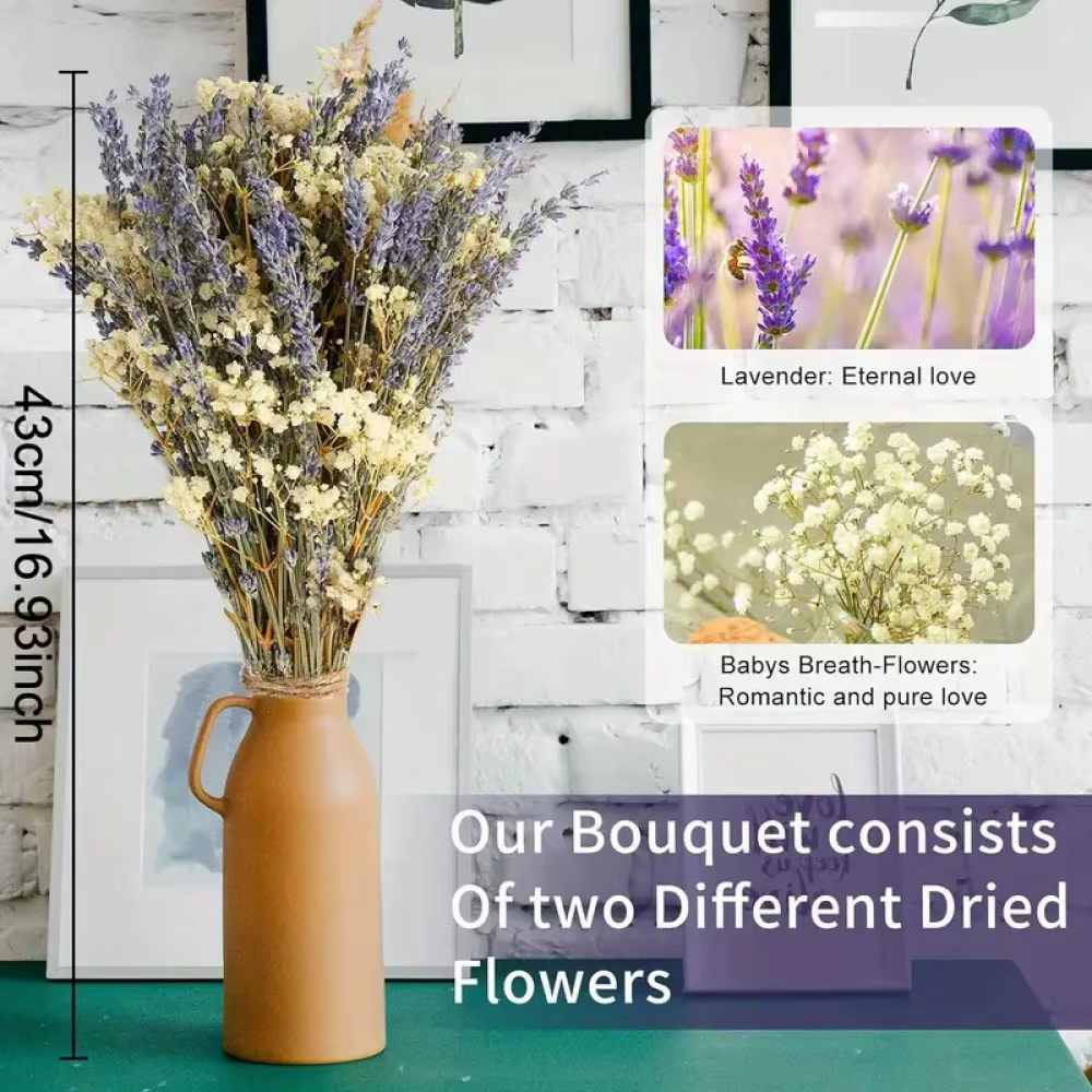 Bouquet de fleurs de Pampas séchées naturelles, style Boho, décoration de maison, queue de lapin, ro