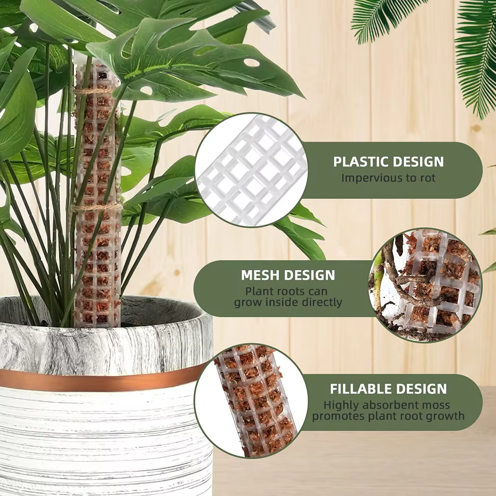 Bâton d'escalade pour plantes, support de plante, cadre en treillis, colonne de mousse de sphaigne d