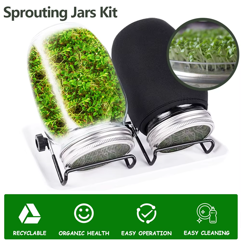 Kit de pot de germination de graines, Kit de culture de germes de haricots en verre Durable avec cou