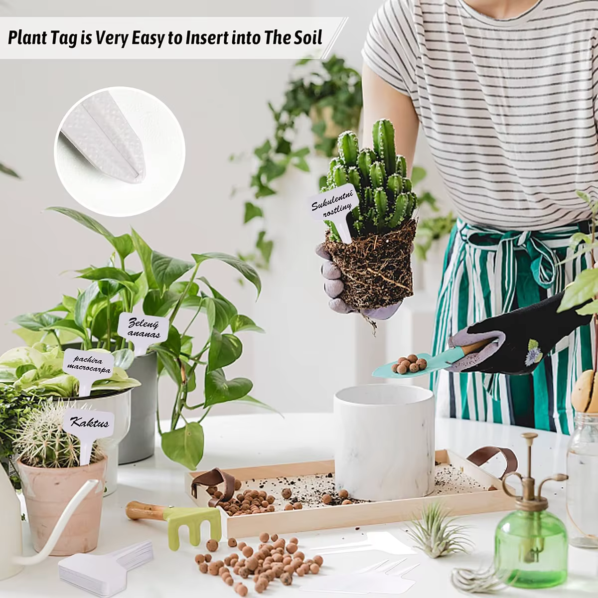 Marqueurs de plantes blancs en forme de T en Pvc, 100 pièces, étiquette de sol de jardinage en pot d