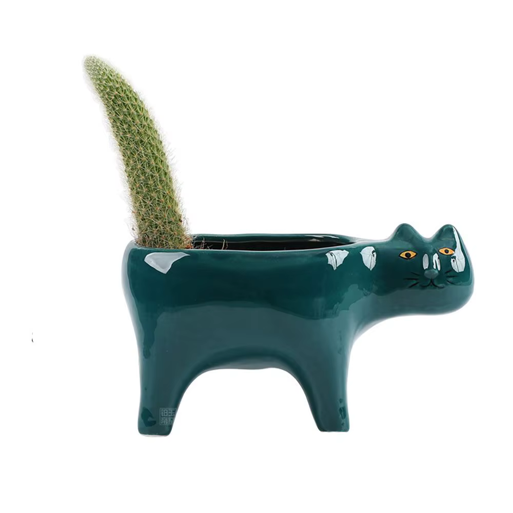 Pot de plantes Cactus en céramique, mignon, jardin, salon, balcon, Pot de fleur, conteneur de plante