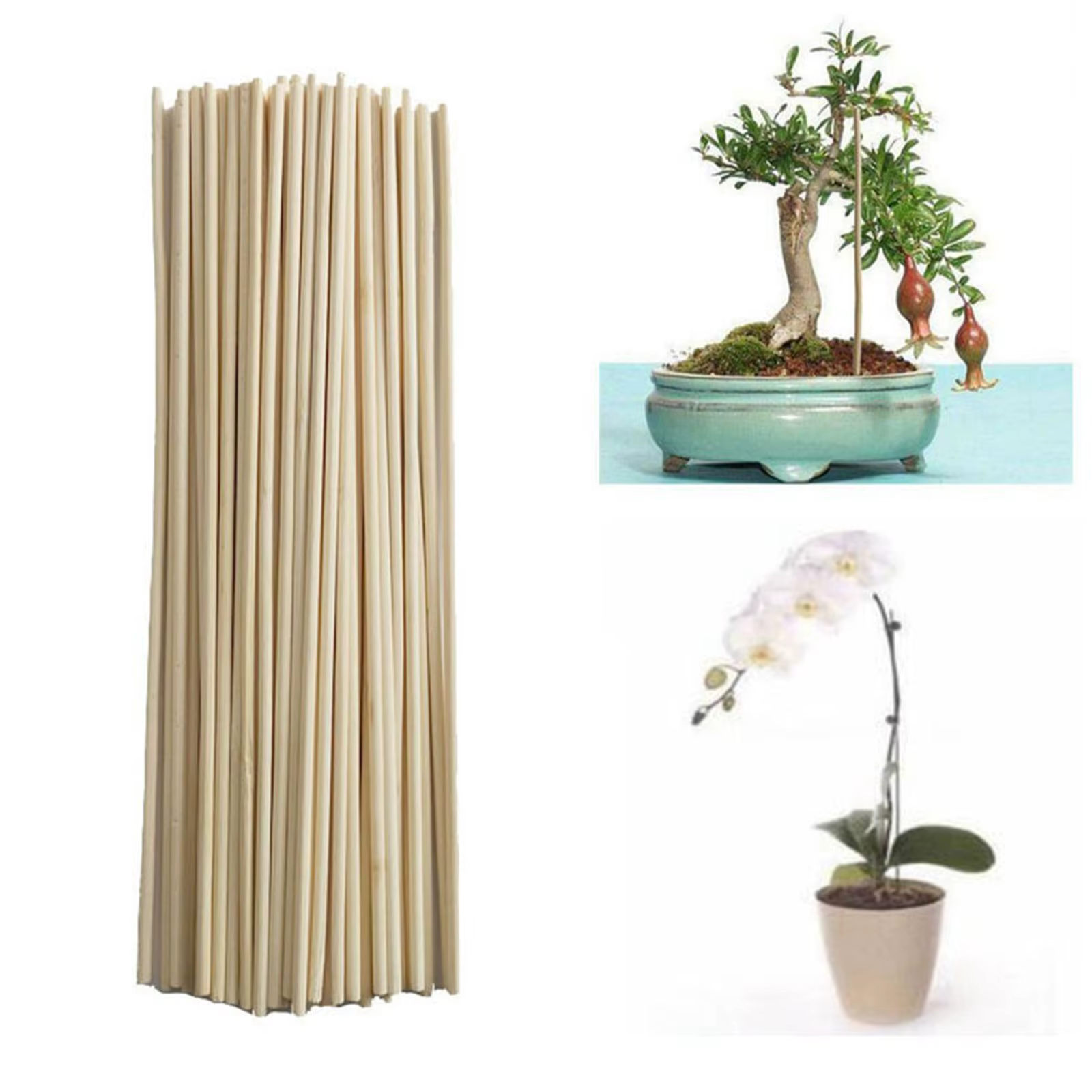 Kit de piquets en treillis de bâtons de bambou, 50 pièces, pour plantes de jardin, Support de tomate