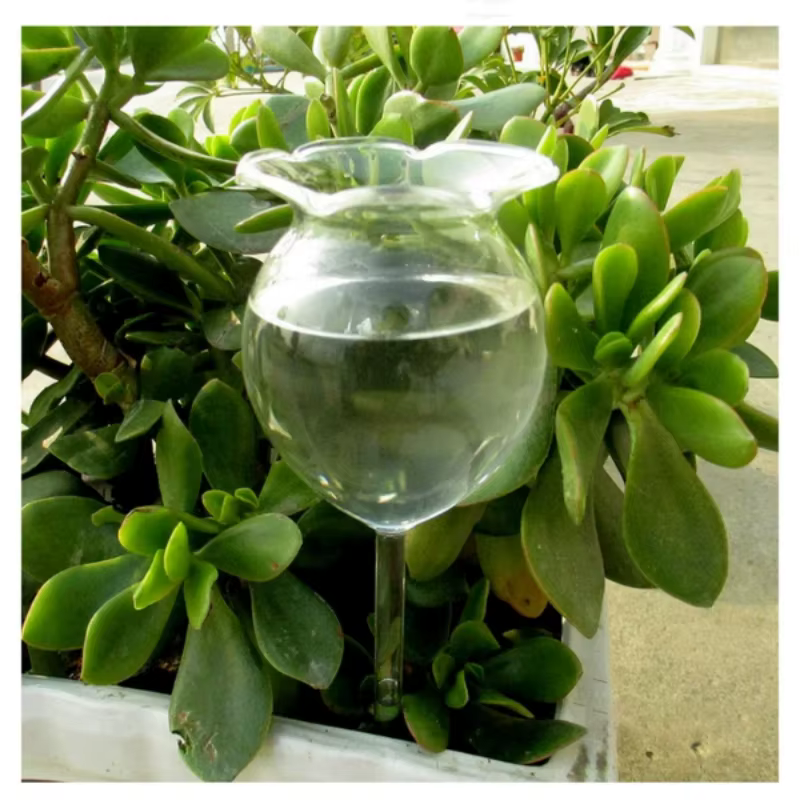 Dispositif d'arrosage automatique pour plantes, boule d'arrosage, pointe d'arrosage, verre transpare