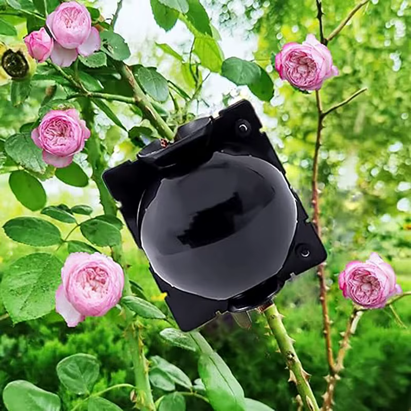 Boule d'enracinement de plantes, boîte d'élevage de greffe à haute pression, boîte de pépinière, Pot