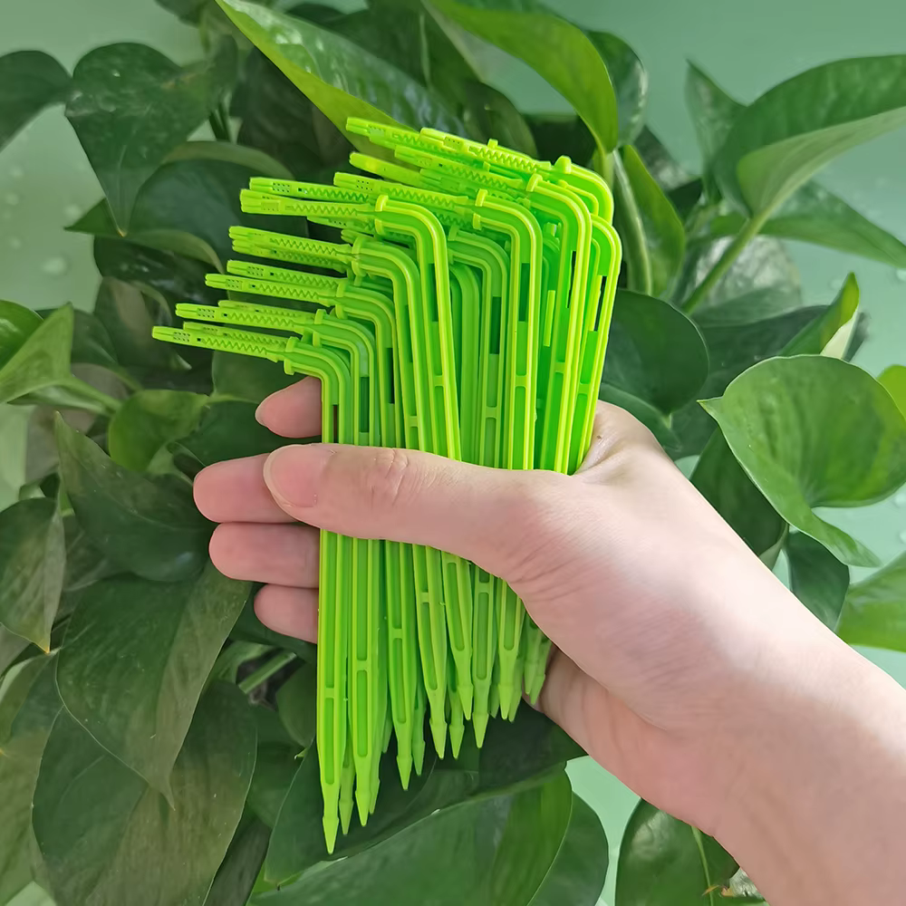 WUJIE 50-1000 pièces 1/8 ''gouteurs verts 3/5mm émetteurs de flèche pliante jardin en pot Irrigation