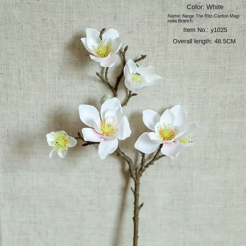 5 têtes fleur artificielle Francica multi-têtes Magnolia INS fausse fleur mariage décoration de la m