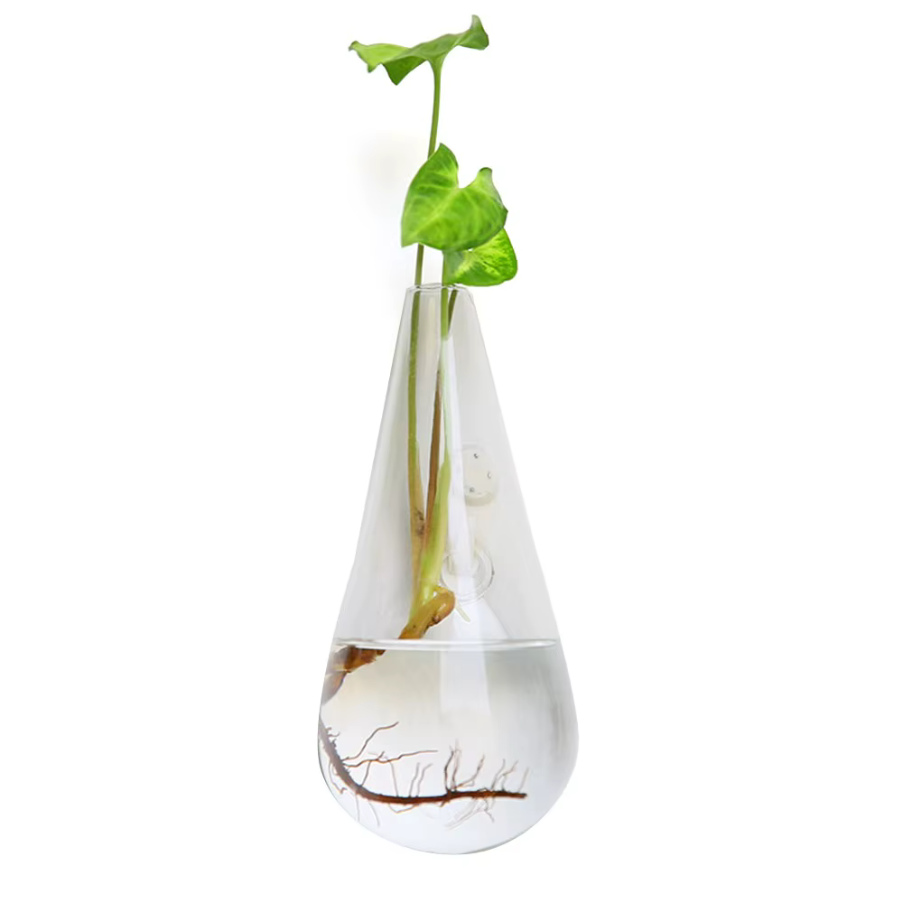 Vase mural suspendu en forme de cône, plantes hydroponiques, Pot de plantes en verre, conteneur d'aq