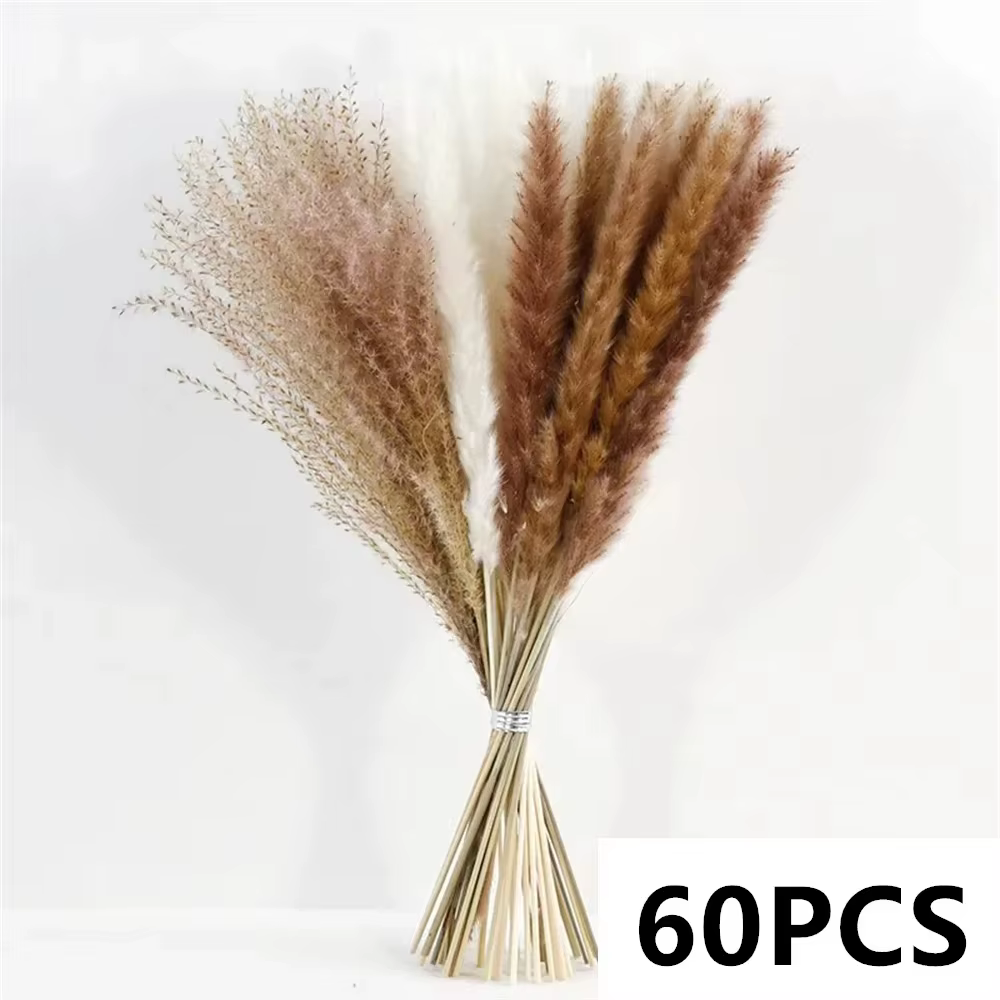100 Pièces de Fleurs Séchées Naturelles de Pampas Moelleuses, Bouquet Bohème pour Décoration Maison,