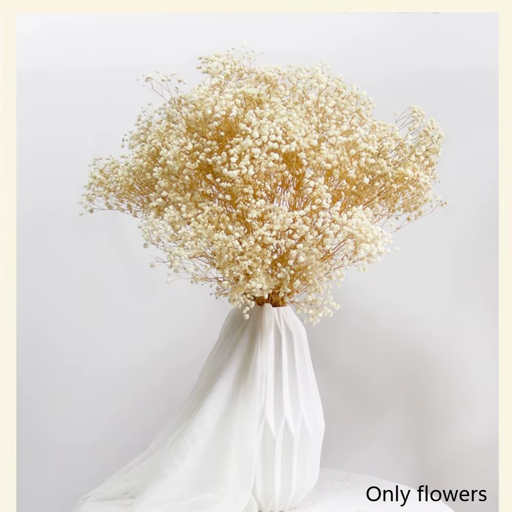Bouquet de fleurs séchées pour bébé, 60g, fleurs sèches naturelles, gypsophile, décoration de mariag